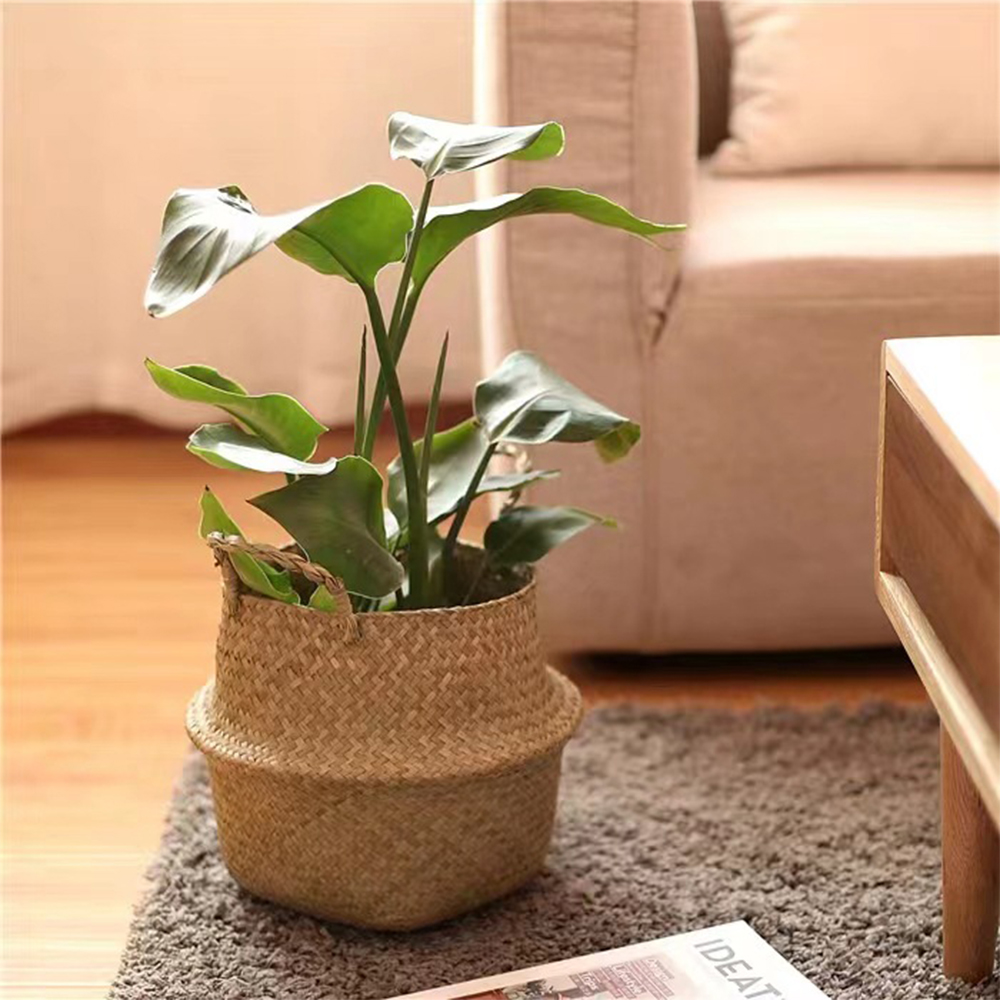 ตะกร้าพืชพร้อมที่จับตะกร้าหวาย - Basket Bag Wicker บทวิจารณ์และราคา