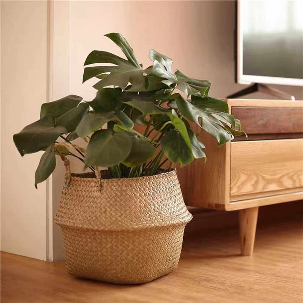 ตะกร้าพืชพร้อมที่จับตะกร้าหวาย - Basket Bag Wicker บทวิจารณ์และราคา